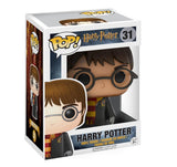 Harry Potter 31