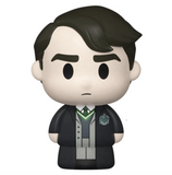 Potion Class: Tom Riddle