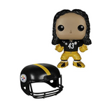 Troy Polamalu 20